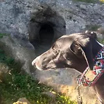Patio Da Memoria منزل ريفي بالميلا