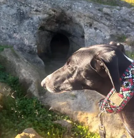 Patio Da Memoria Lantställe Palmela