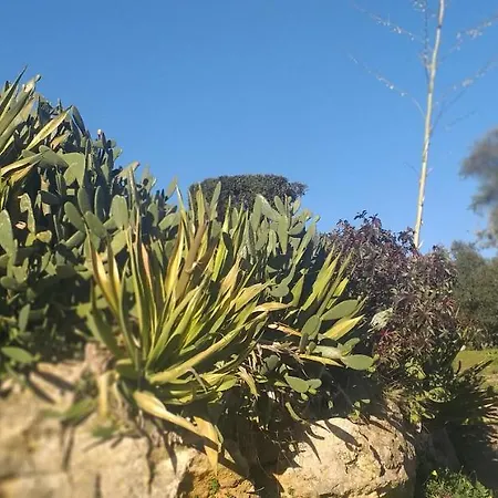 Lantställe Patio Da Memoria *